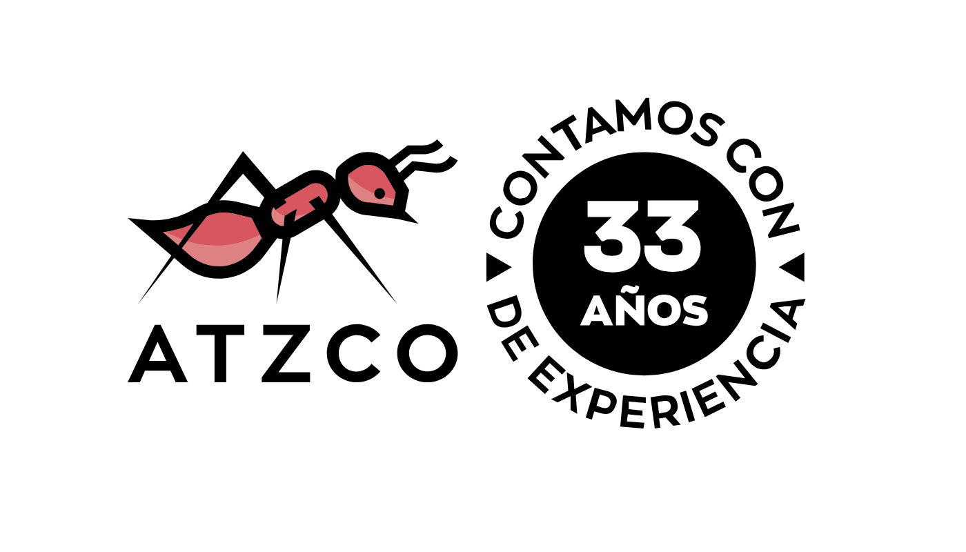 Captura de pantalla 2026 02 04 a las 5 45 06 p m